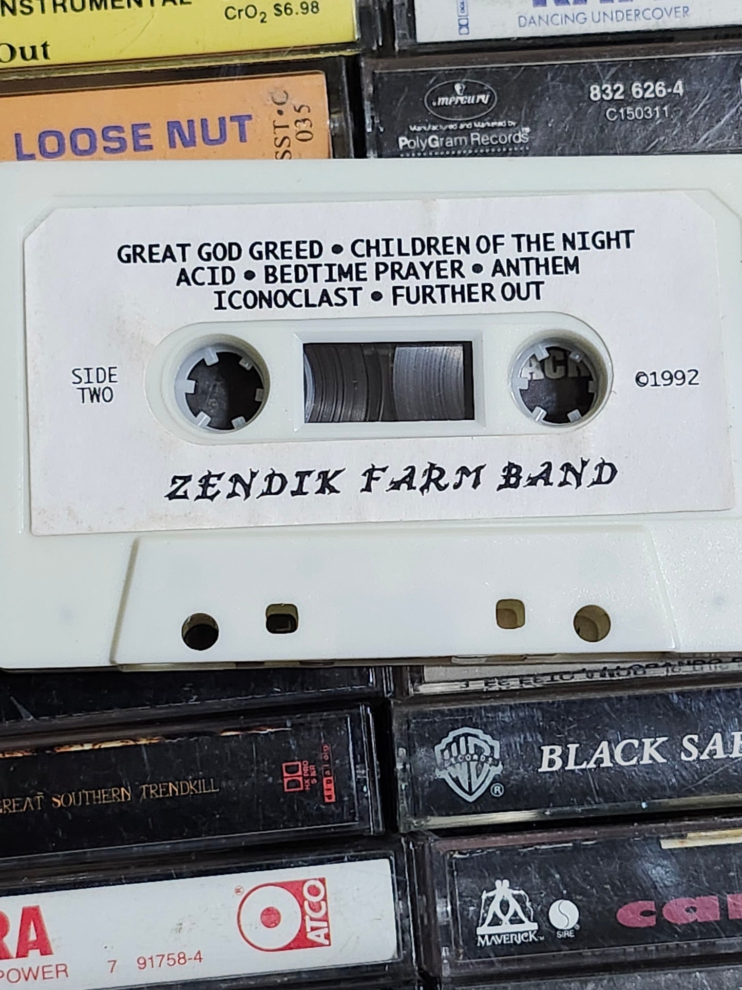 Zendik Farm Orgaztra Ecollapse Cassette Tape Rare Psychedelic Rock Folk OOP HTF