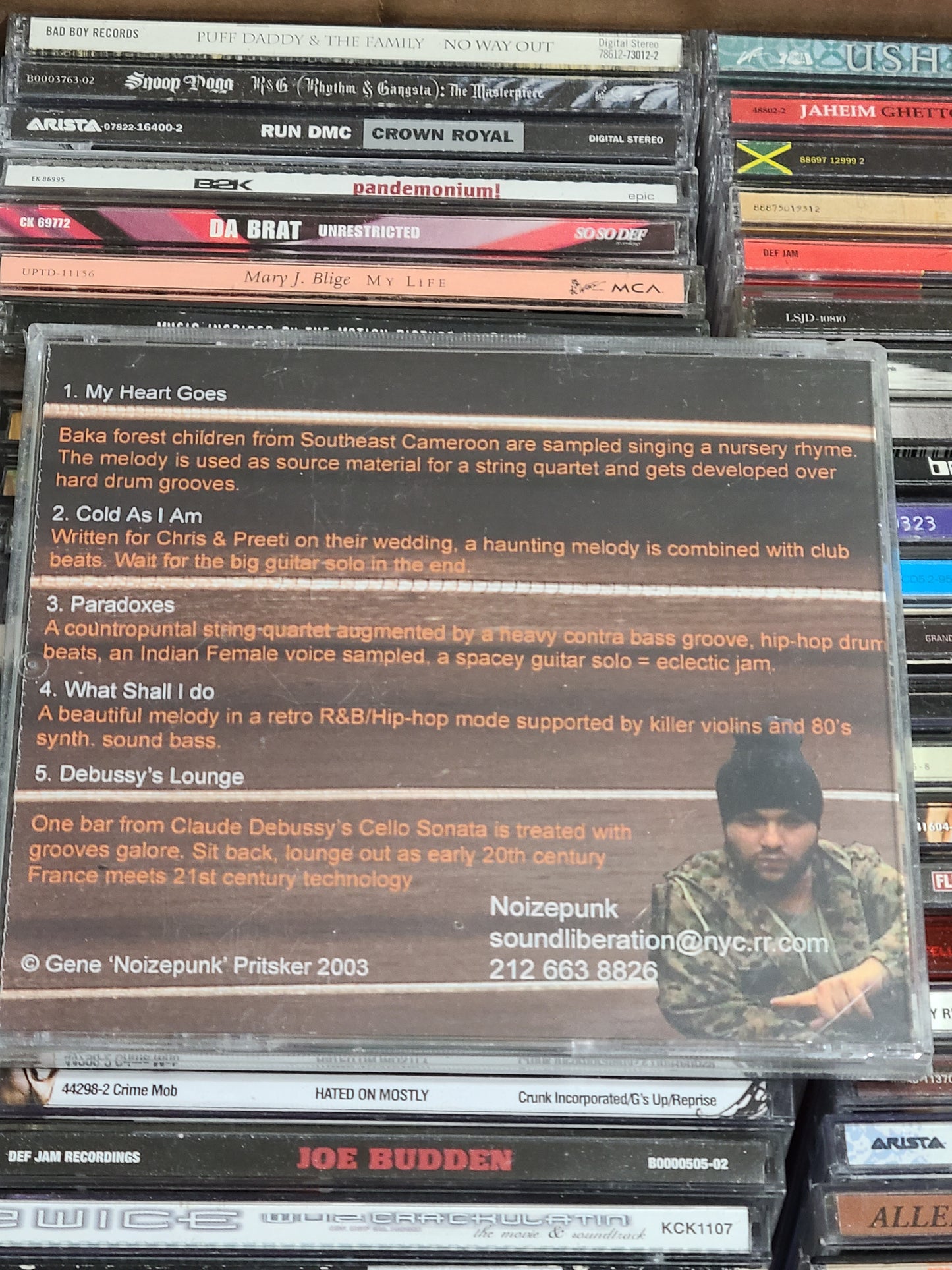 Noizepunk Strings Possessed CD New Rare HTF OOP Rock