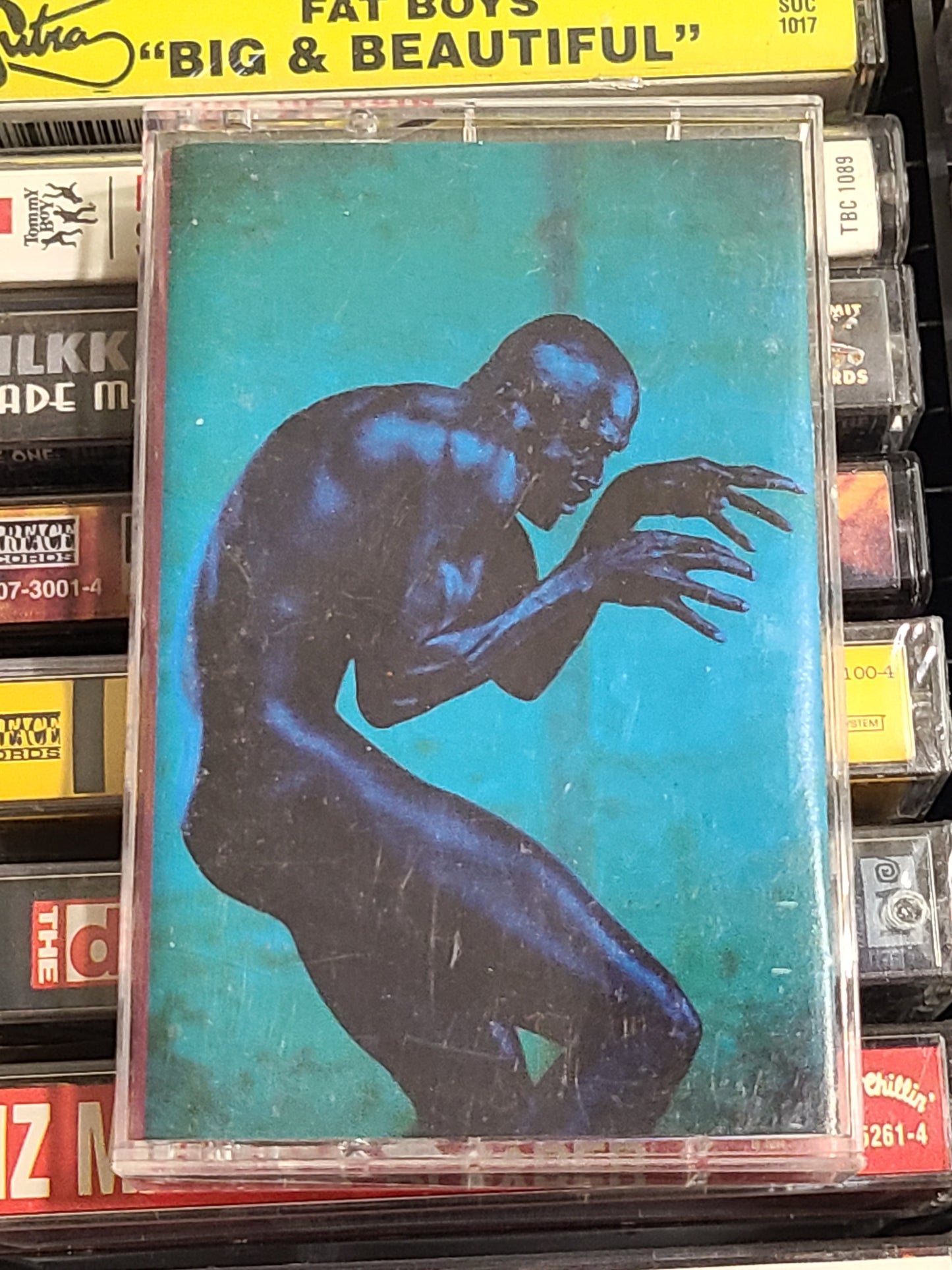 Seal Human Being Cassette