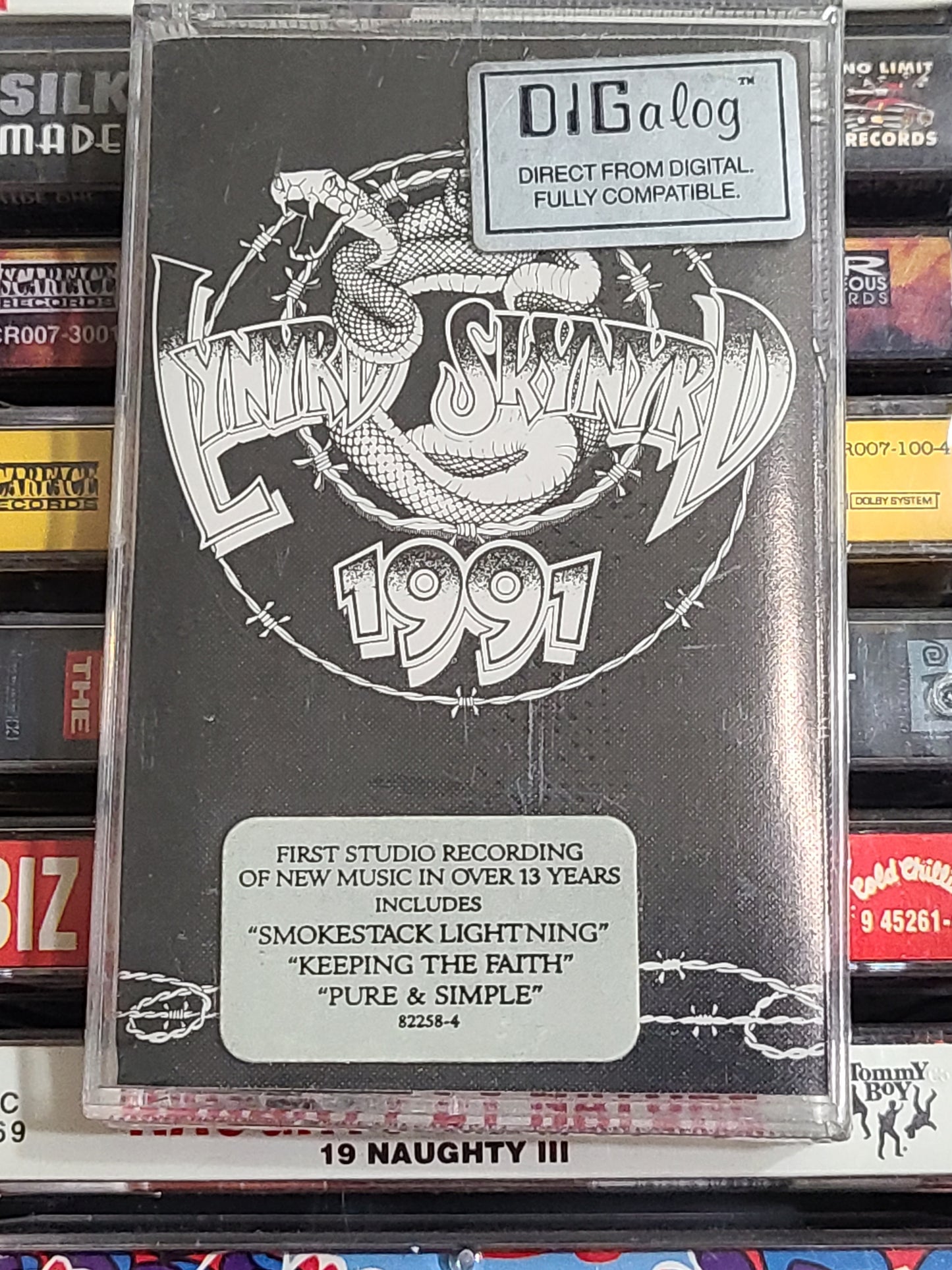 Lynard Skynard 1991 Cassette Tape New