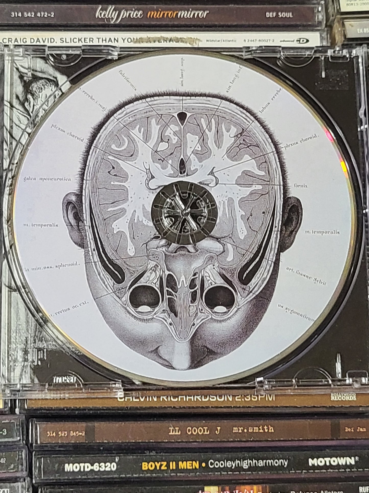 Sculptured Embodiment CD Melodic Death Metal