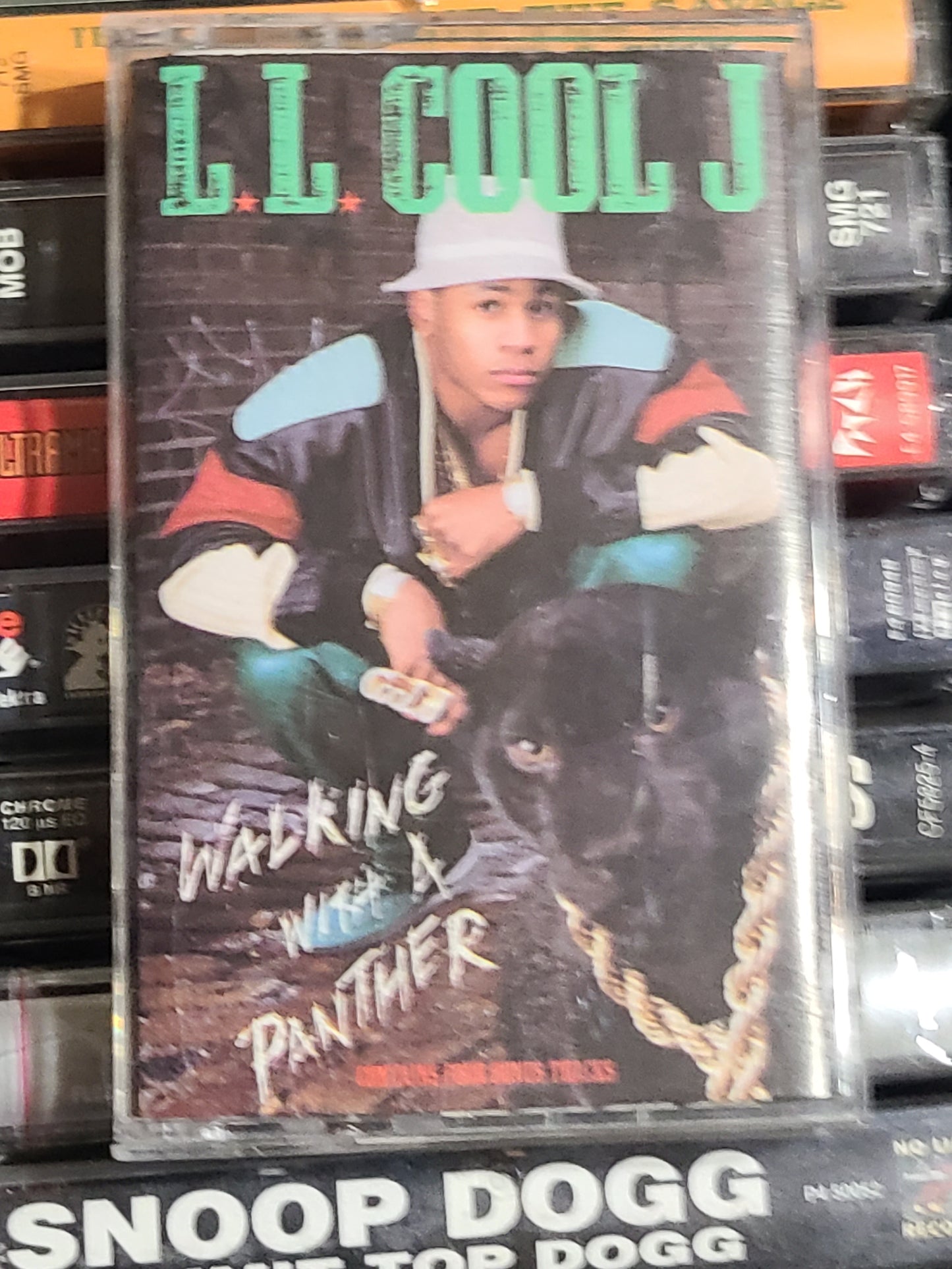 LL Cool J Walking With a Panther Cassette