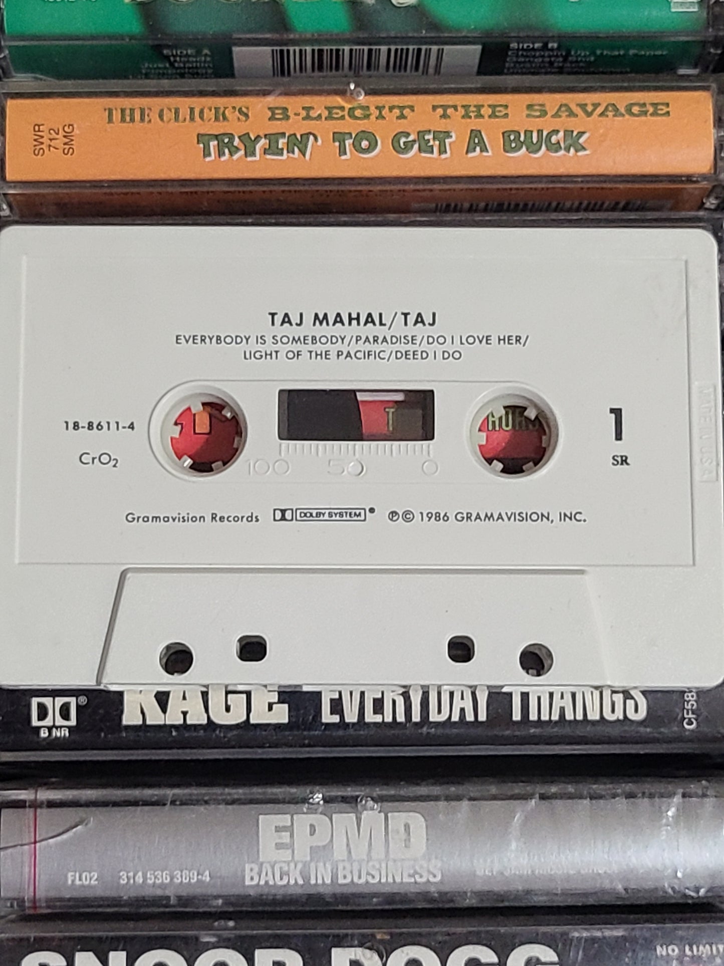 Taj Mahal : Taj Cassette
