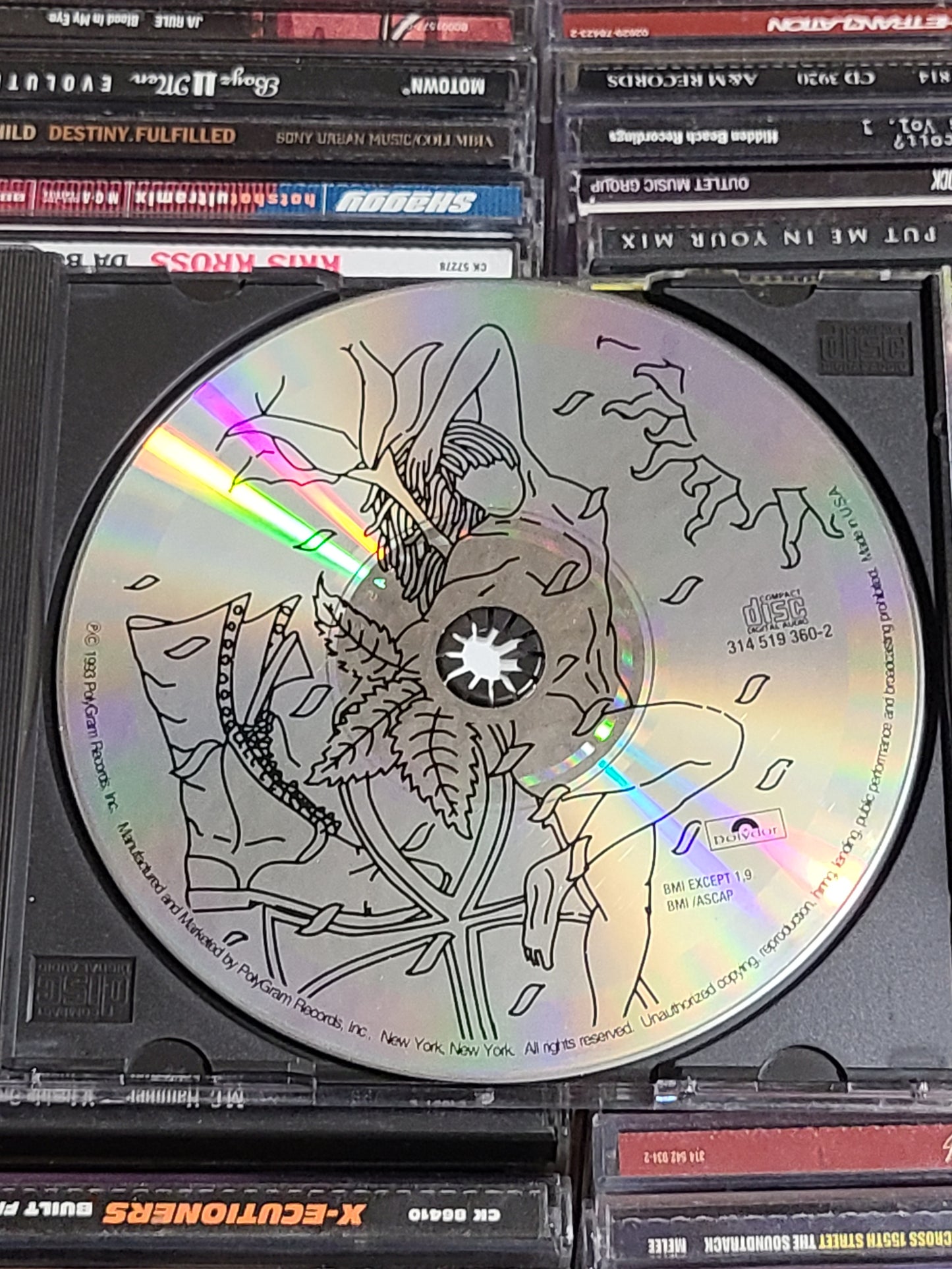 Professor X - Puss 'N Boots (The Struggle Continues...)  CD
