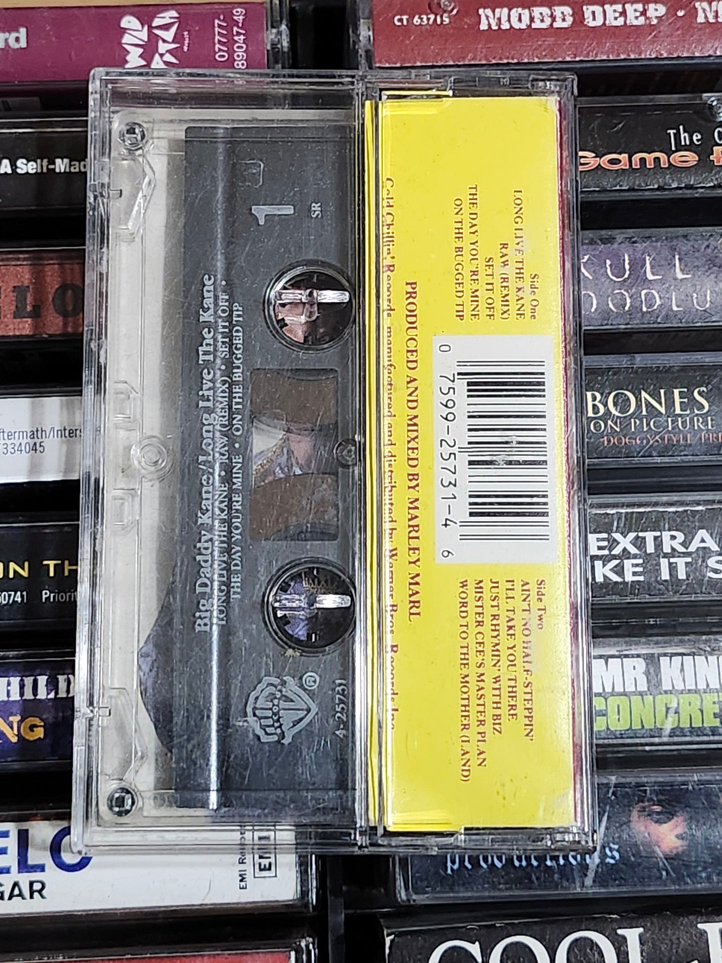 Big Daddy Kane - Long Live The Kane Cassette