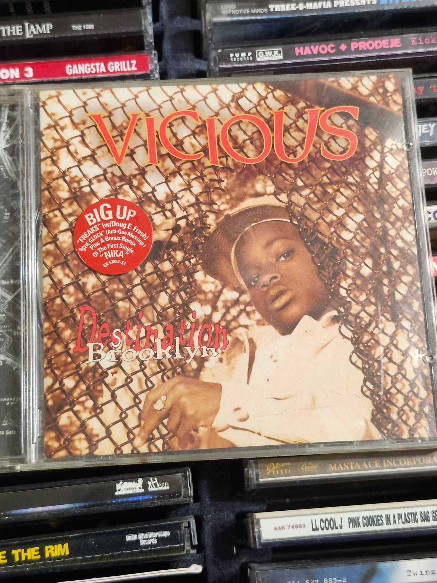Vicious – Destination Brooklyn CD