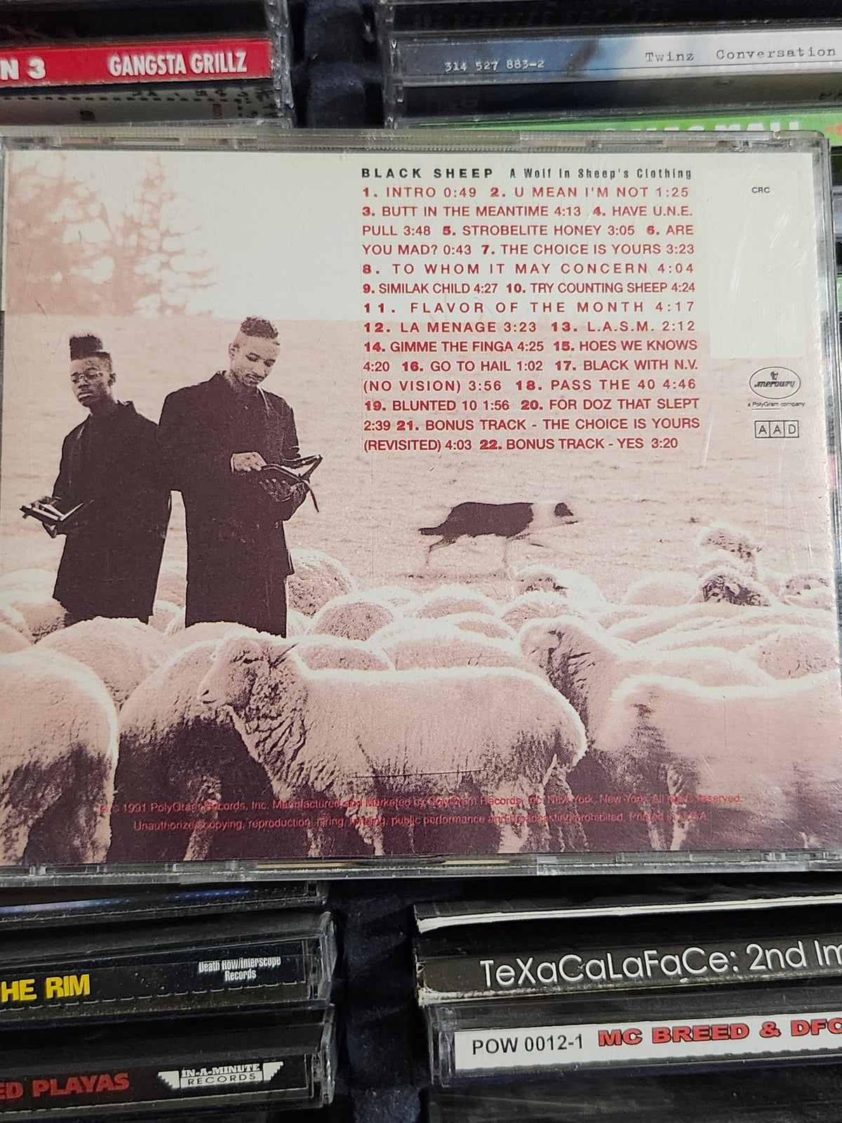 Black Sheep a Wolf in Sheep's Clothing CD