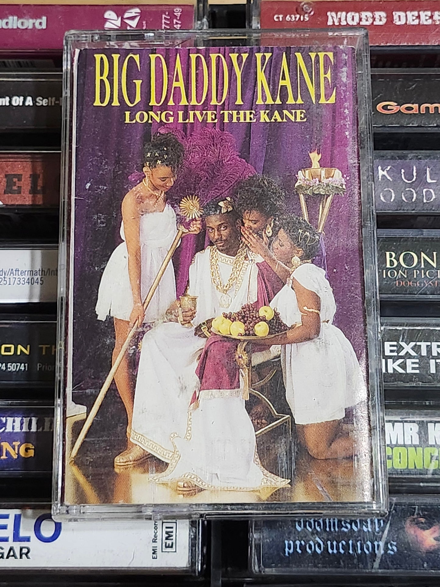 Big Daddy Kane - Long Live The Kane Cassette