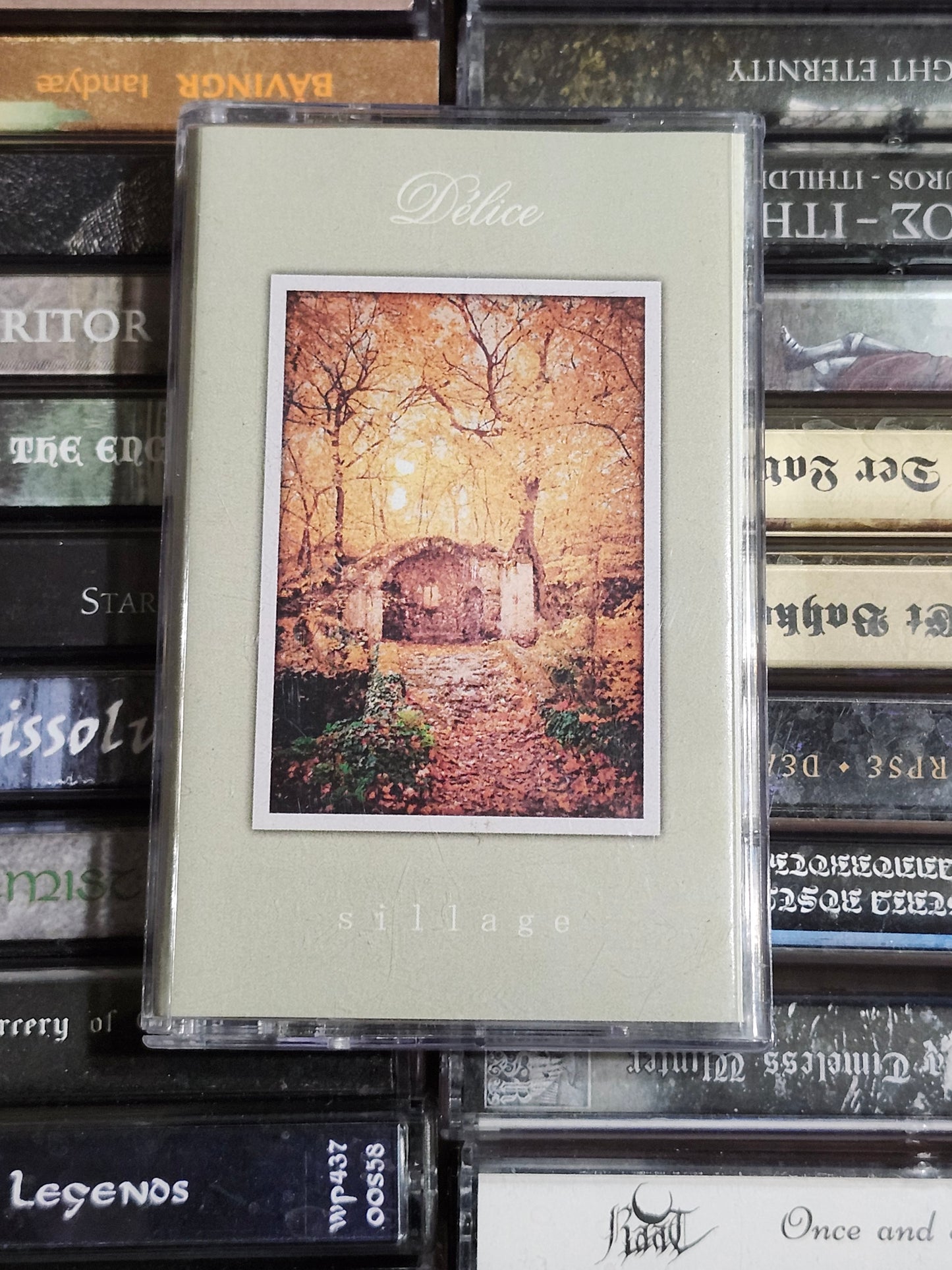 Delice Sillage Cassette Rare HTF OOP Metal