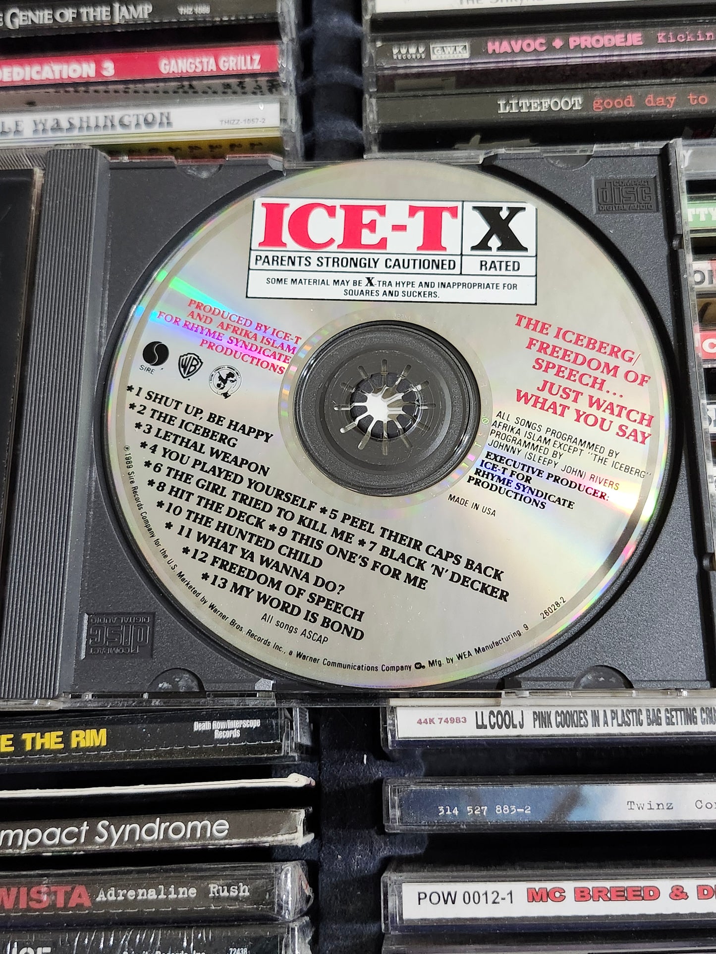 Ice-T The Iceberg/Freedom of Speech CD