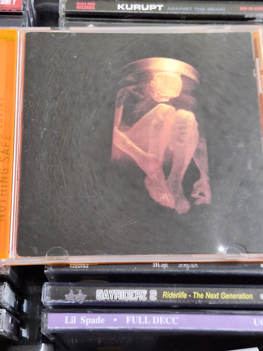 Alice In Chains Nothing Safe Best of the Box CD