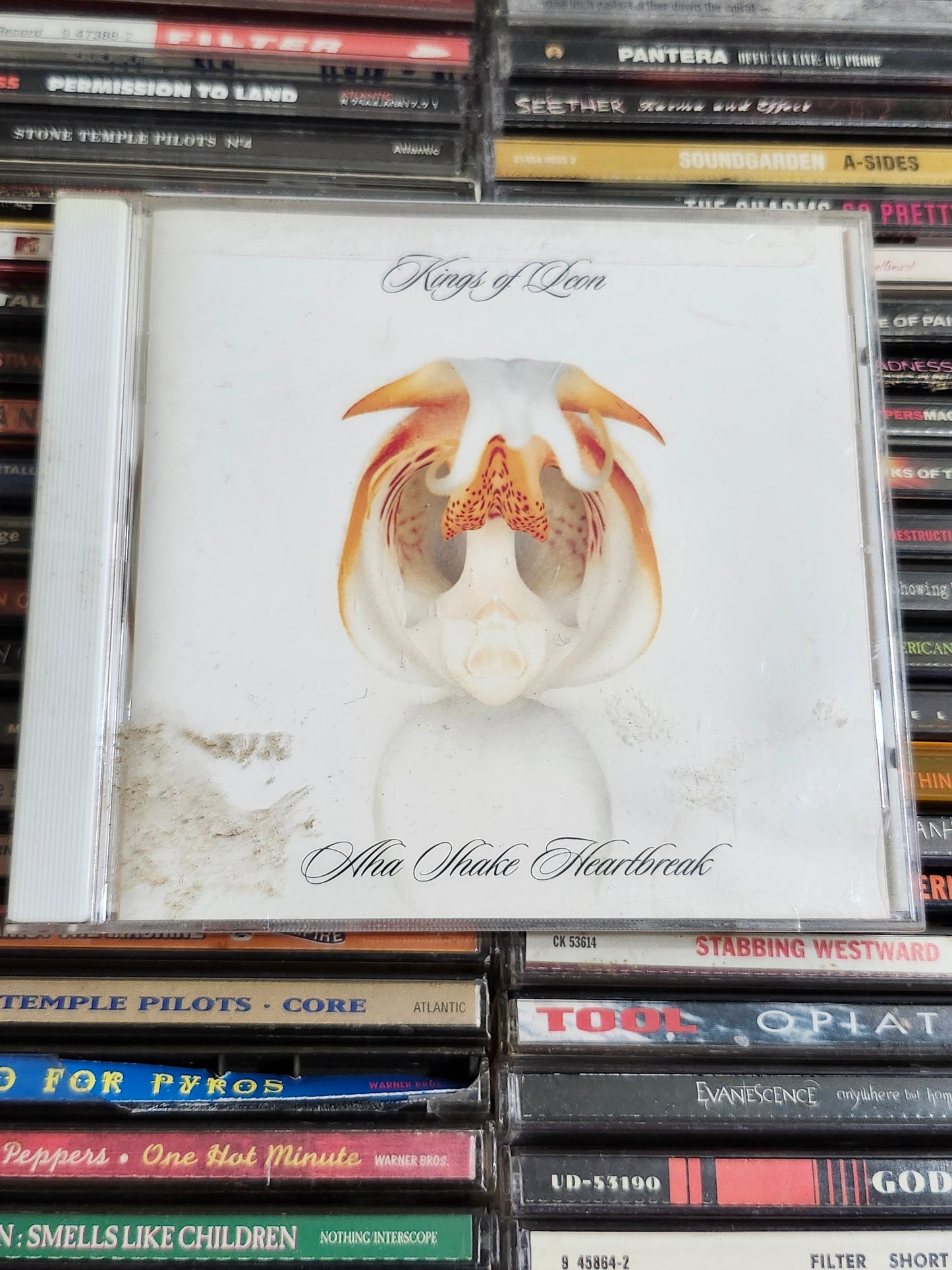Kings of Leon - Aha Shake Heartbreak - CD