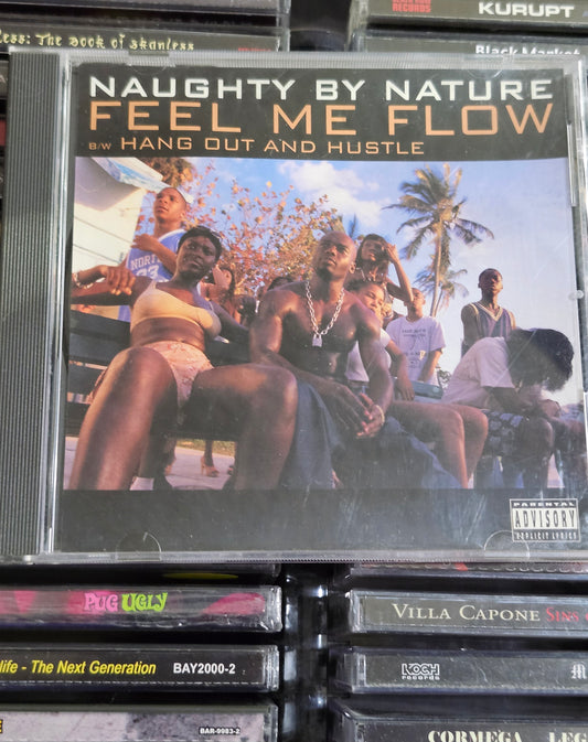 Naughty by Nature Feel Me Flow B W Hang Out and Hustle CD