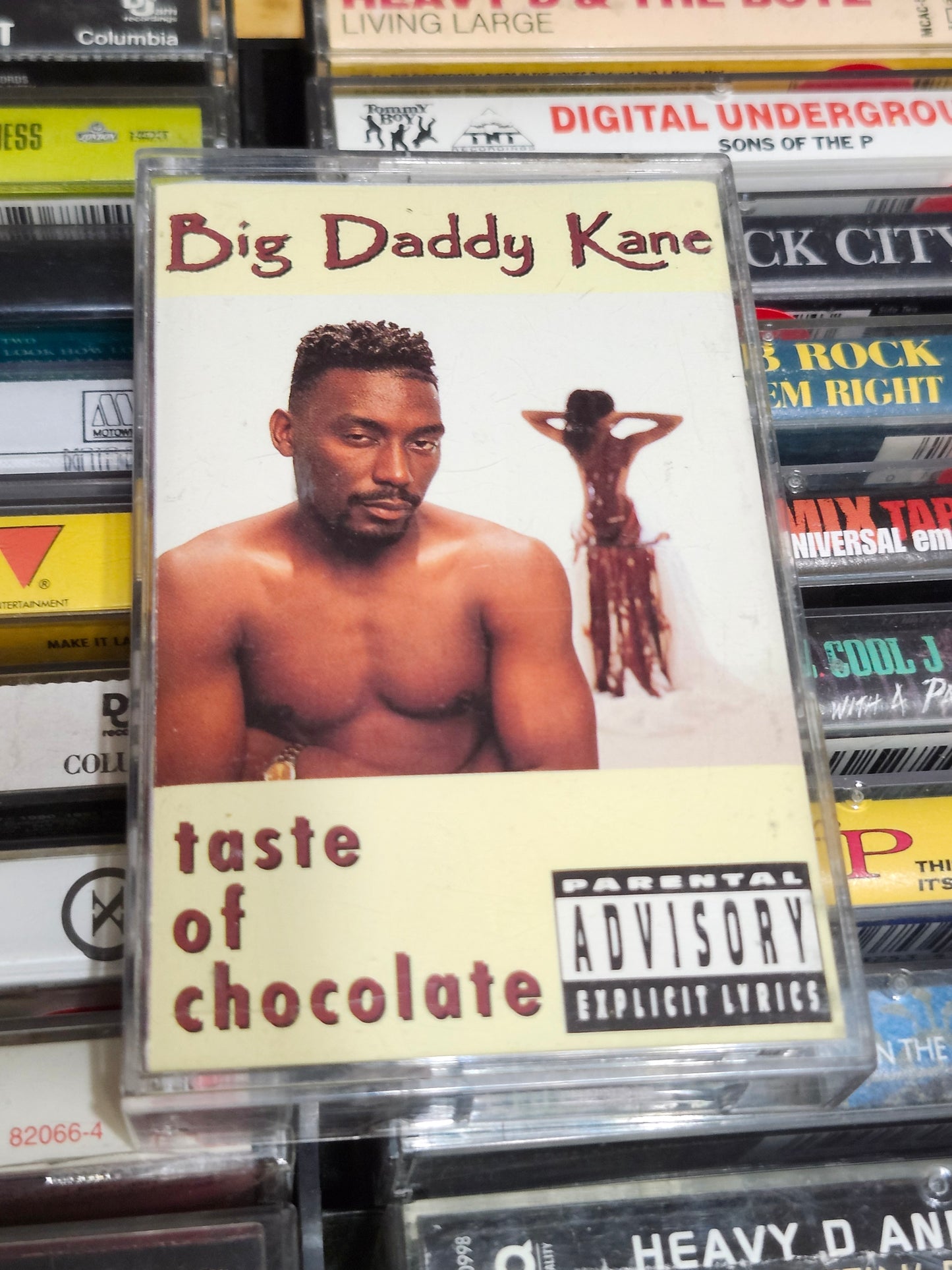 Big Daddy Kane - Taste Of Chocolate Cassette