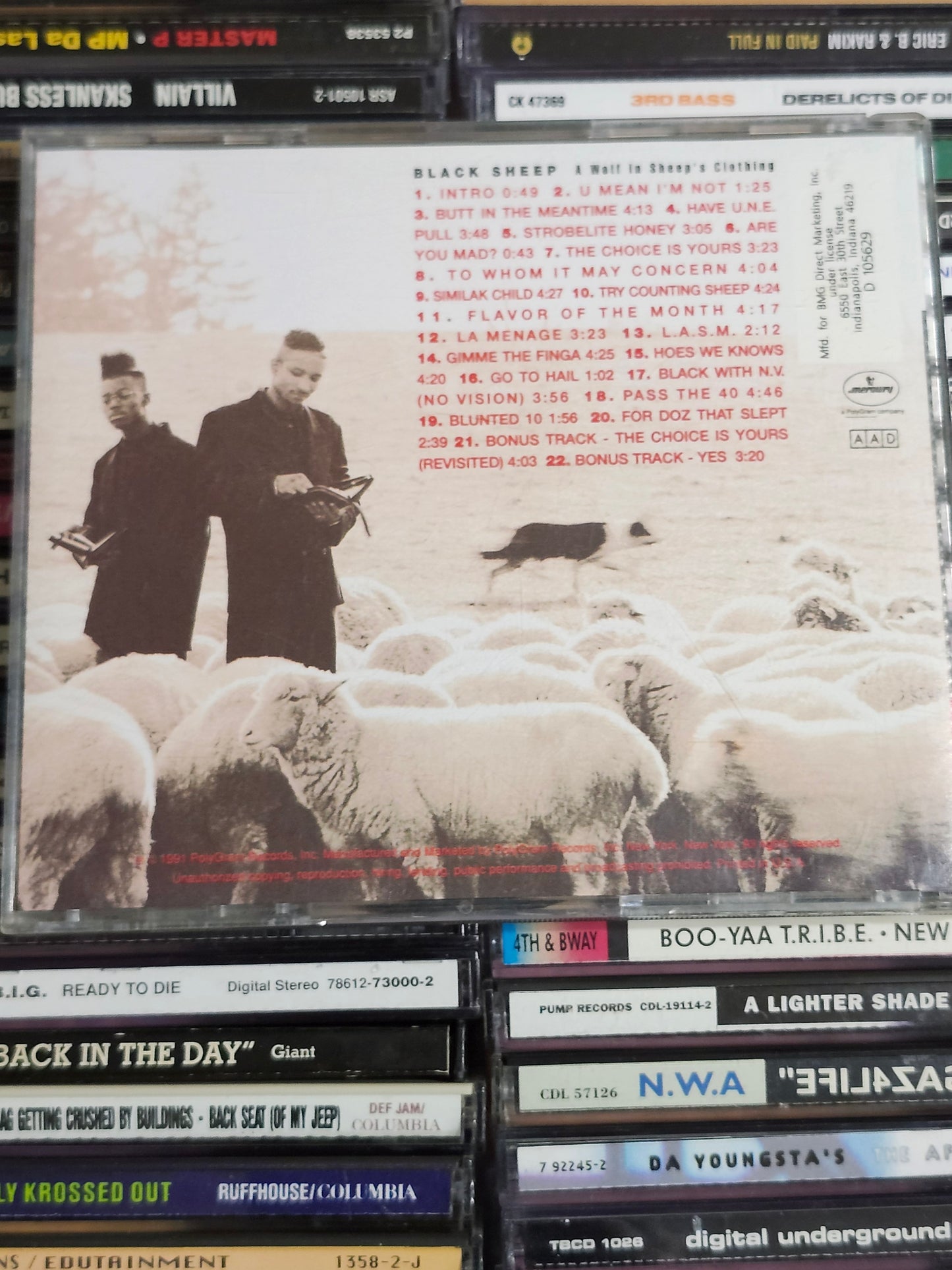 Black Sheep Wolf in Sheep's Clothing CD