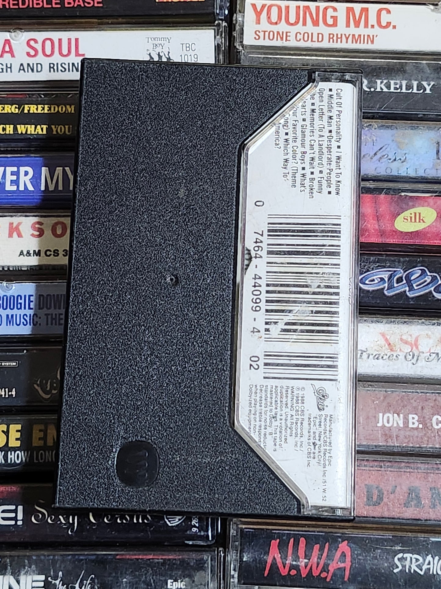 Living Colour Vivid Cassette Tape