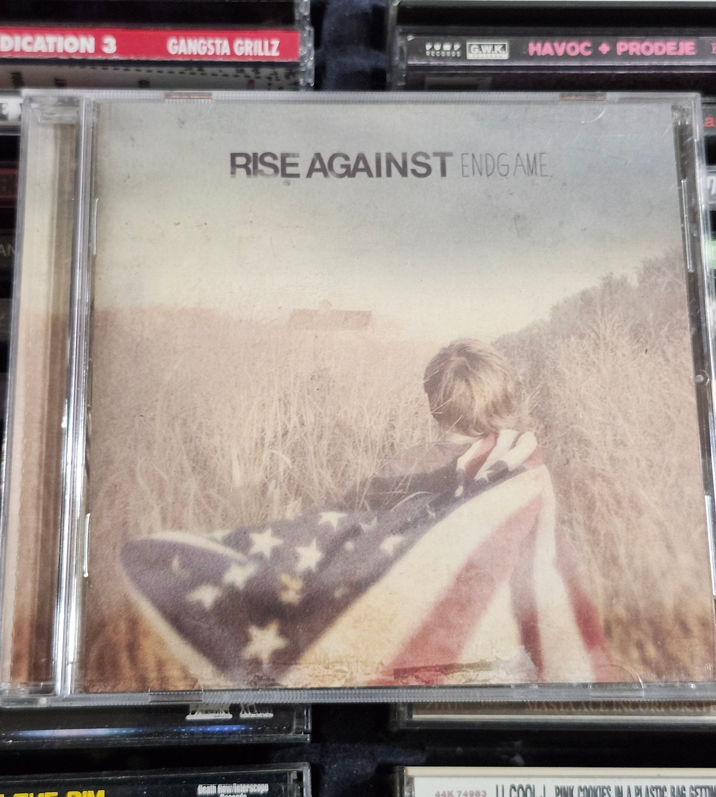 Rise Against Endgame CD