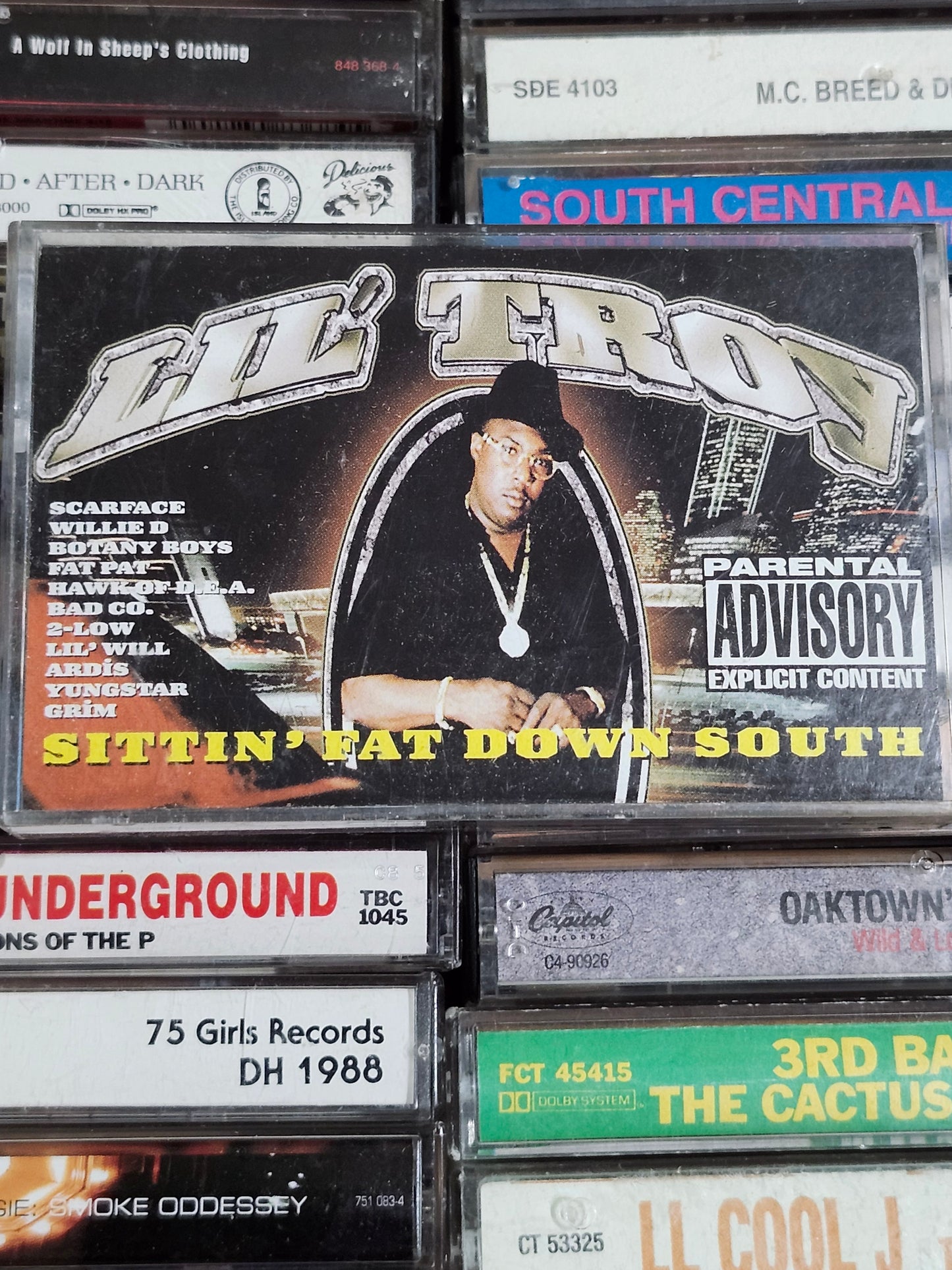 Lil’ Troy - Sittin’ Fat  Down South Cassette Tape